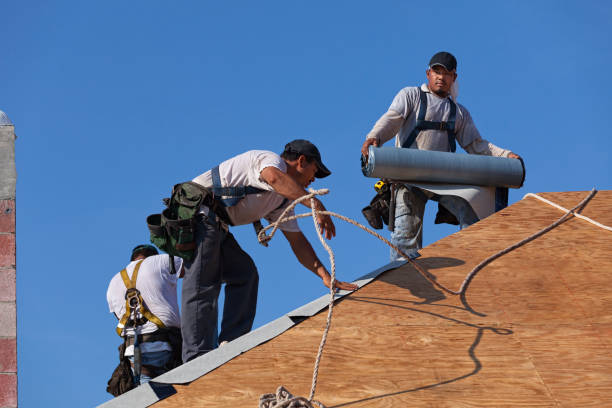 Best Roof Gutter Cleaning  in Sudley, VA